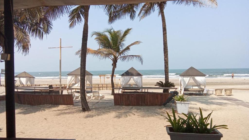 a beach with chairs and palm trees and the ocean at Marbela Beach Resort in Morjim