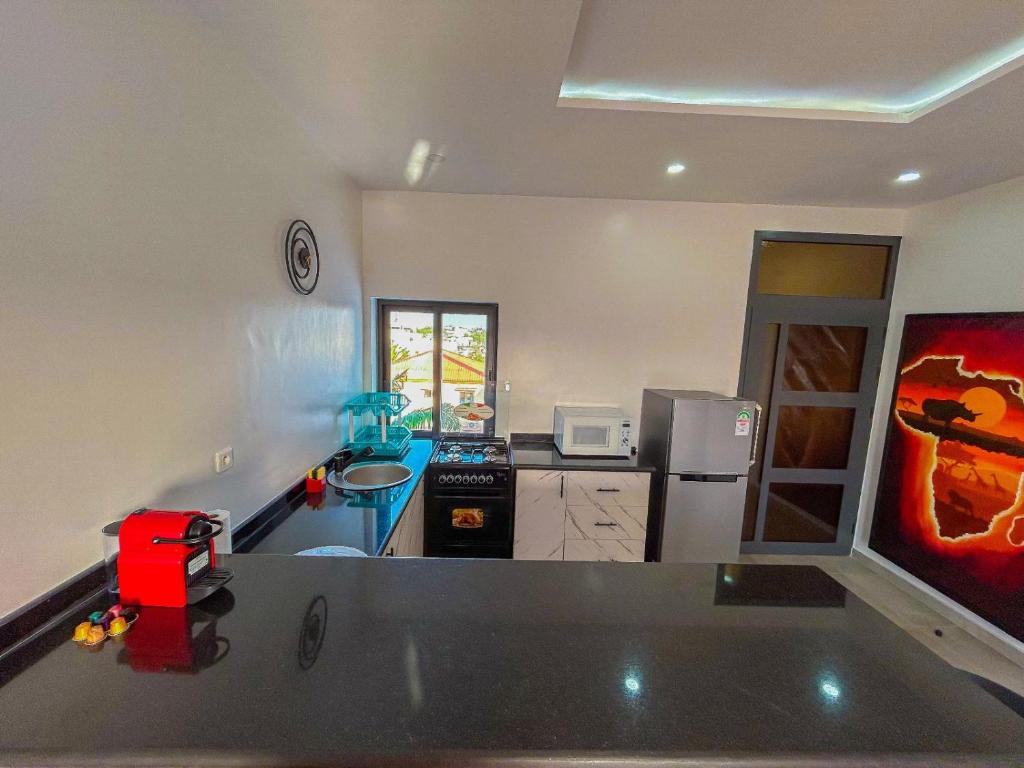 eine Küche mit einer Arbeitsplatte in einem Zimmer in der Unterkunft Property House in Lomé