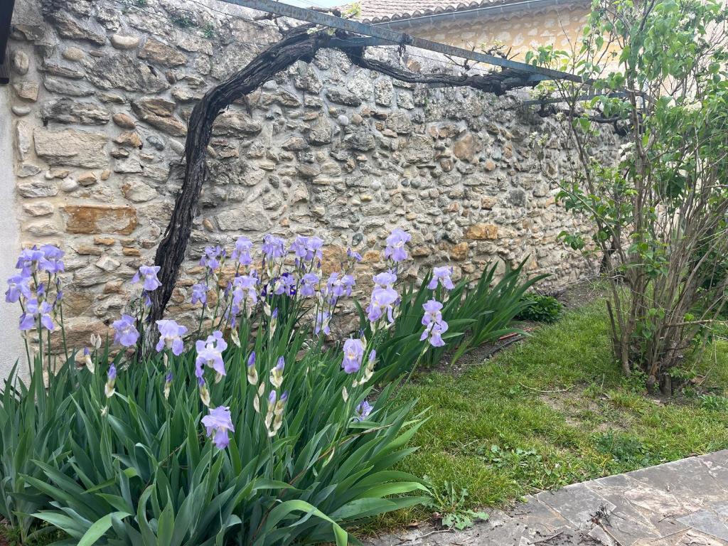 Zahrada ubytování Maison en Provence