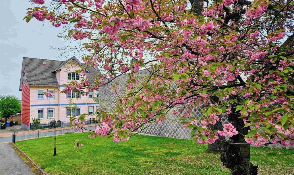 バート・ハルツブルクにあるBella Mirella - 3 Schlafzimmerのピンクの花の木