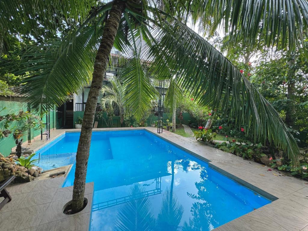 a large blue swimming pool with a palm tree at Swastha Ayurveda Villa in Hikkaduwa