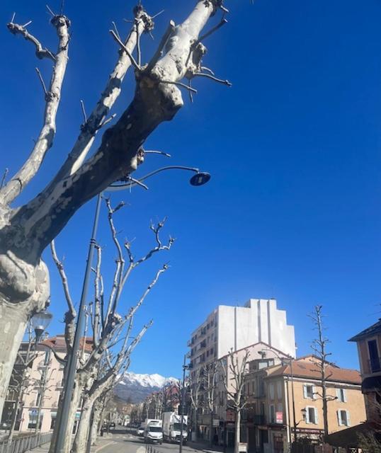 un arbre sans feuilles sur une rue de la ville dans l'établissement Sababou, à Gap