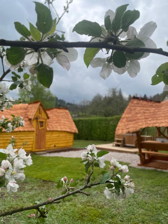 una rama de árbol con flores blancas en un patio en Cabane Insolite Cosy, en Ramonchamp