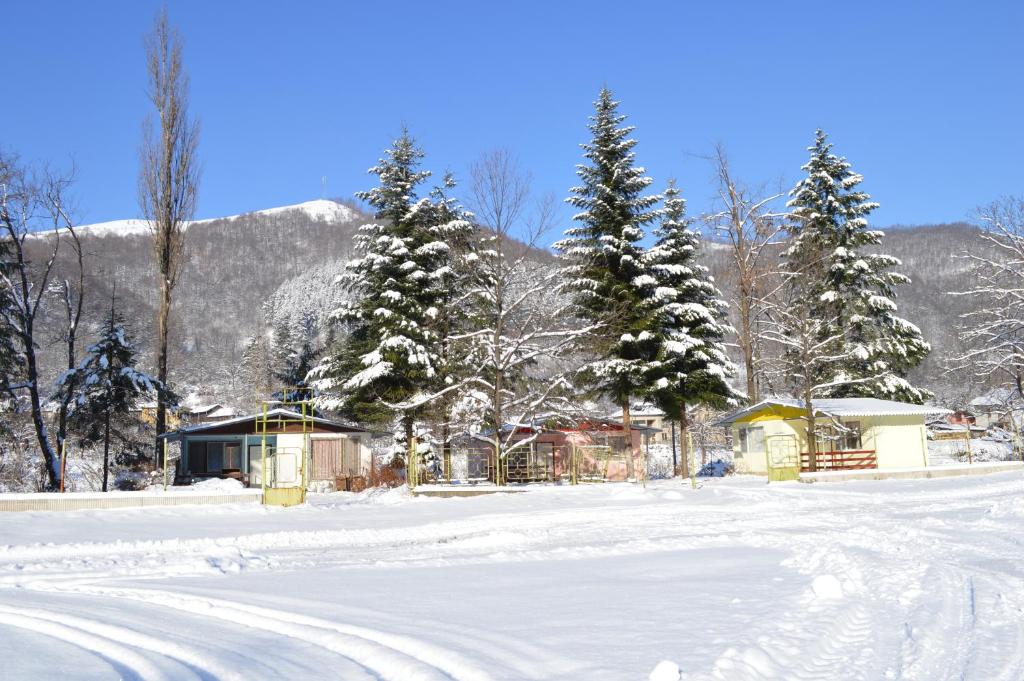 ein schneebedecktes Feld mit Bäumen und einem Gebäude in der Unterkunft Guest House Rainbow in Cherni Osŭm