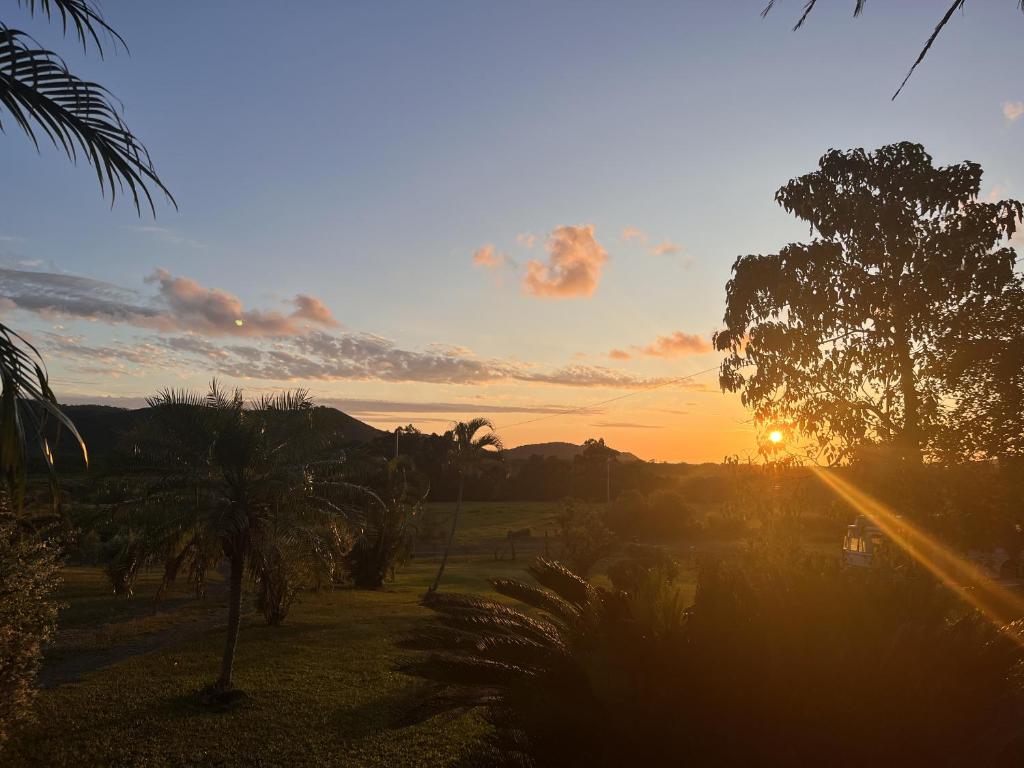 a sunset over a field with palm trees and the sun at La Piaule De Nessadiou in Bourail