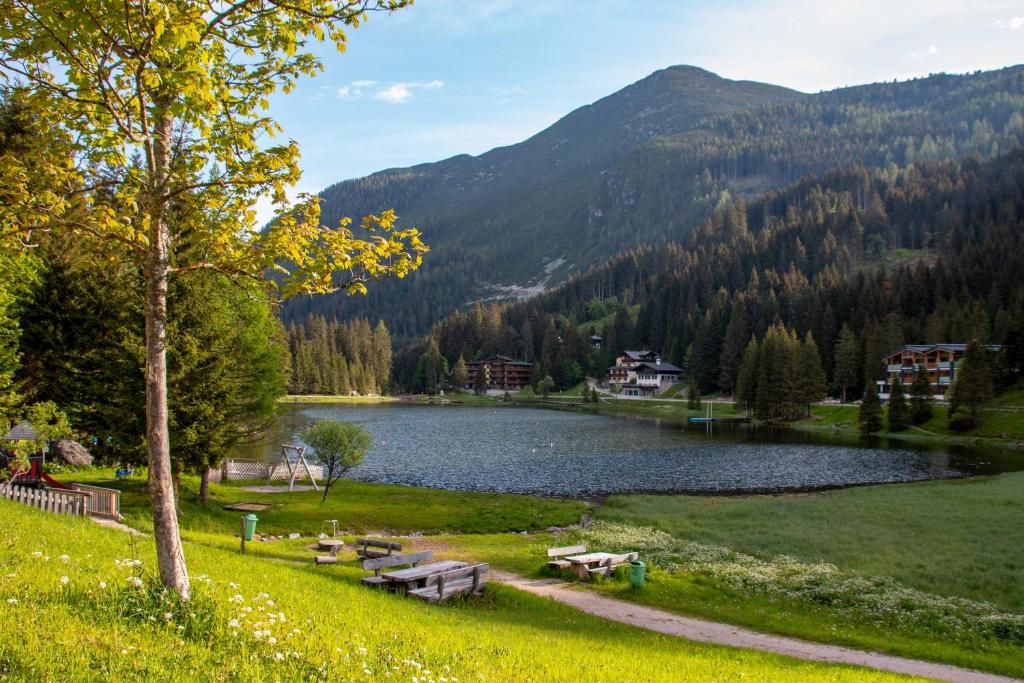 Příroda nedaleko apartmánu