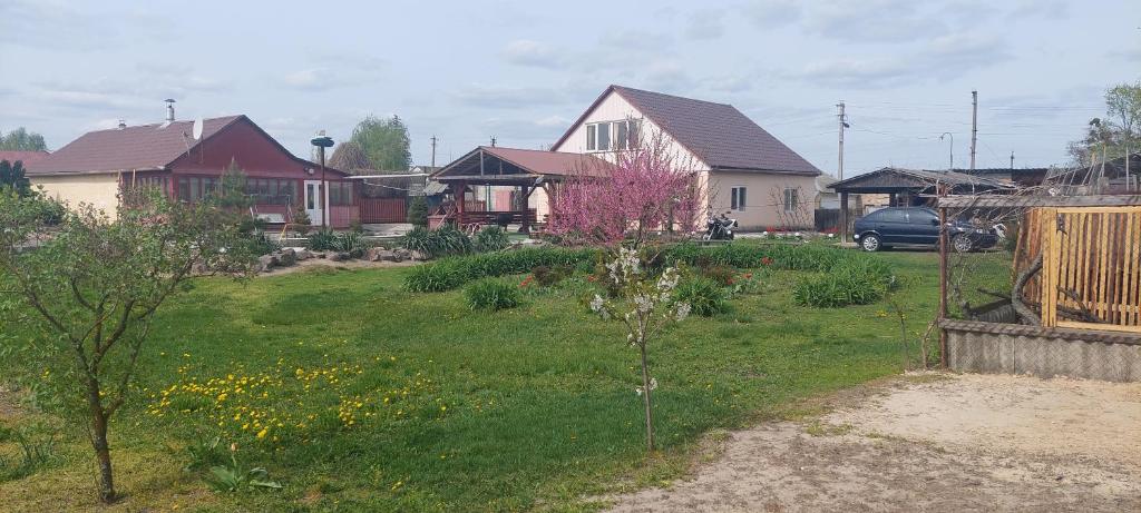 un patio con un pequeño árbol en medio de una casa en Садиба зеленого туризму «Золота рибка», en Medvedevka