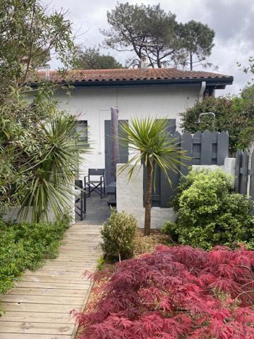 biały dom z palmą w ogrodzie w obiekcie La Villa du Grand Large w mieście Biscarrosse