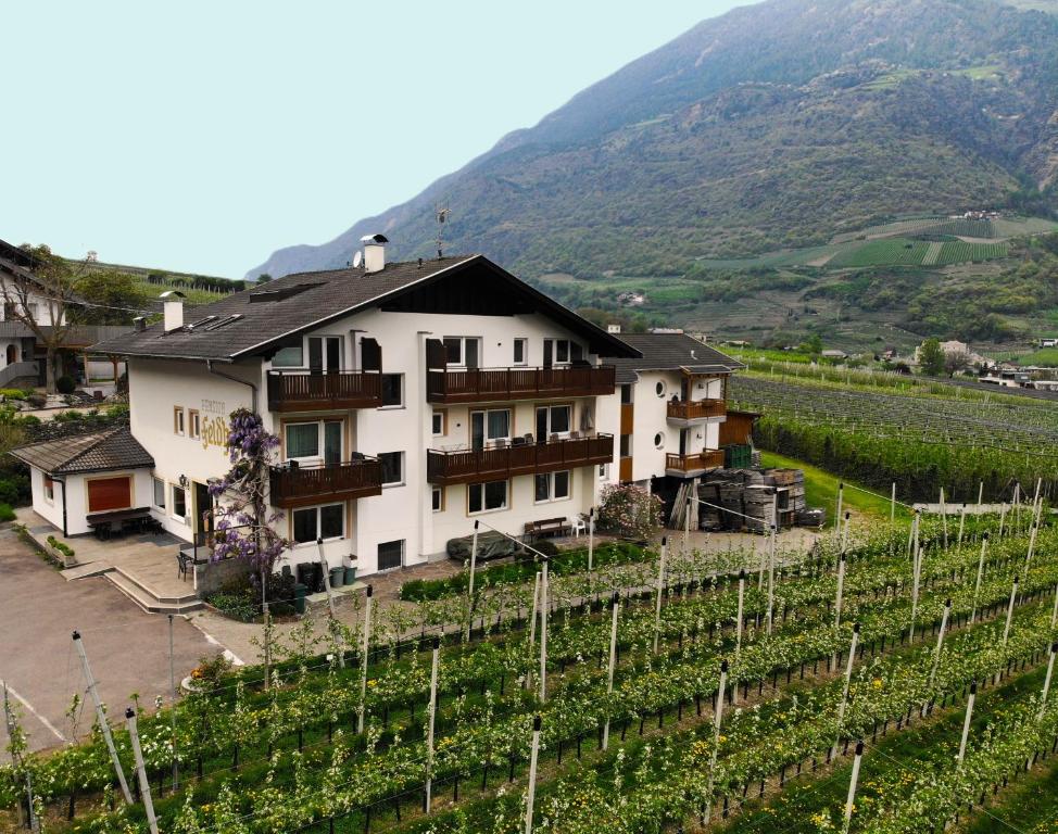 a building in a vineyard next to a mountain at Residence Feldhof in Kastelbell-Tschars