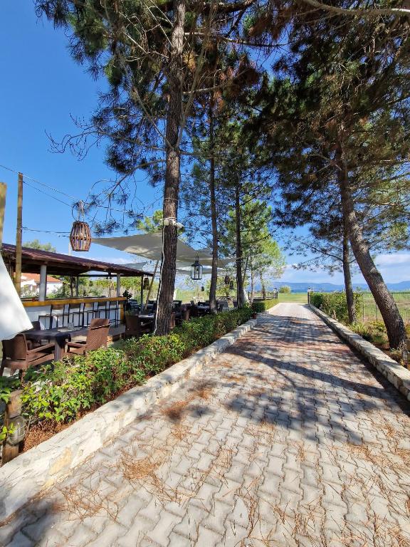 Příroda nedaleko apartmánu