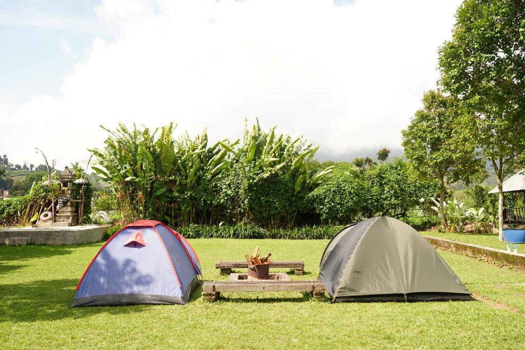 Zahrada ubytování Bali Strawberry Glamping and Camp Bedugul