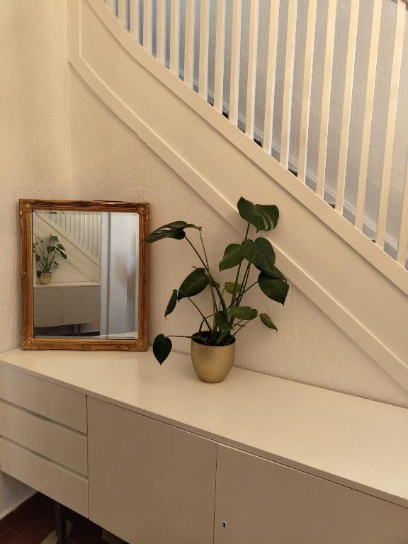 ein Spiegel und eine Pflanze auf einem Regal unter einer Treppe in der Unterkunft Guesthouse in Weeze in Weeze