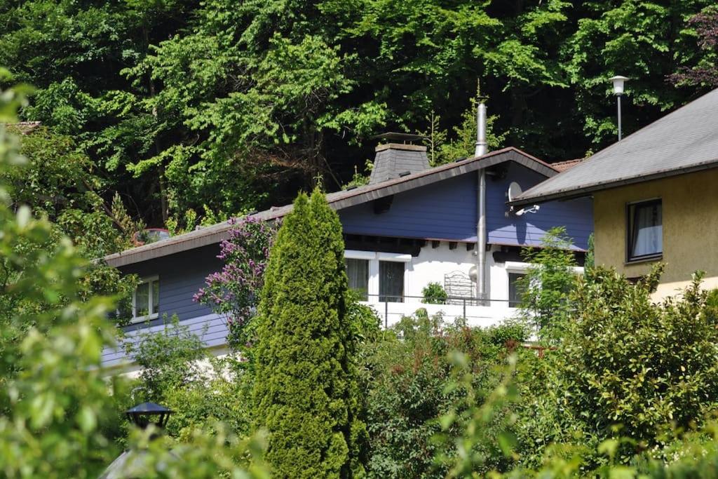 a blue house with trees in front of it at Ferienwohnung Schog in Todtnau