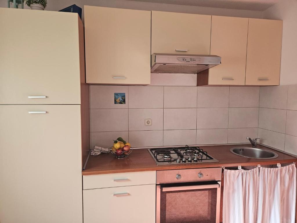 Kuchyň nebo kuchyňský kout v ubytování Apartman Sara-Vis