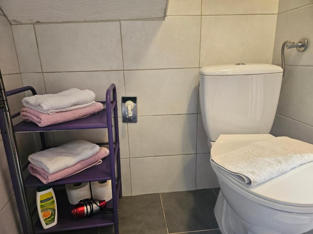 Koupelna v ubytování Apartman Sara-Vis