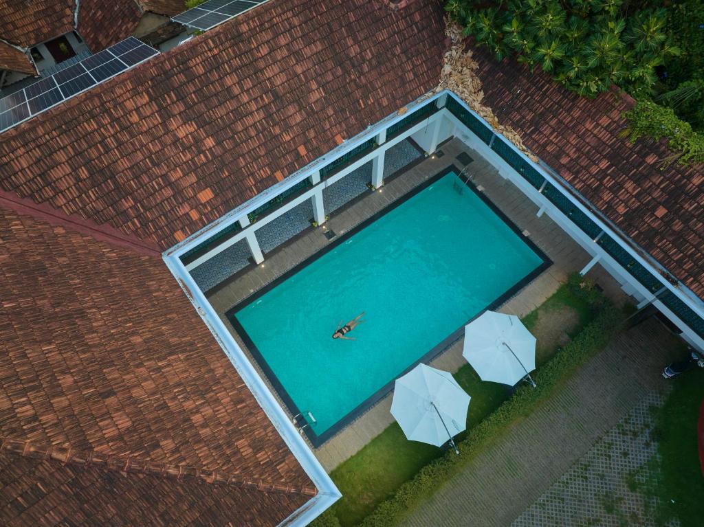 an overhead view of a swimming pool with umbrellas at Napier Heritage in Cochin