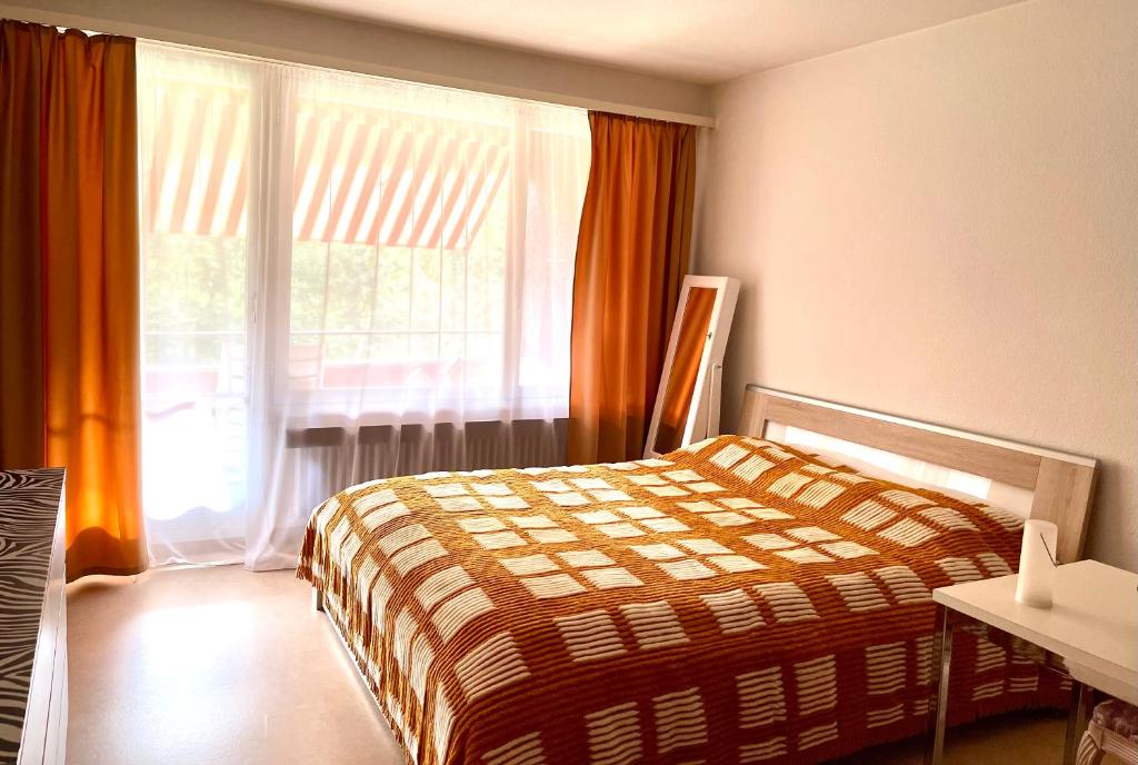 - une chambre avec un lit et une grande fenêtre dans l'établissement Flat at border suisse, à Saint-Louis