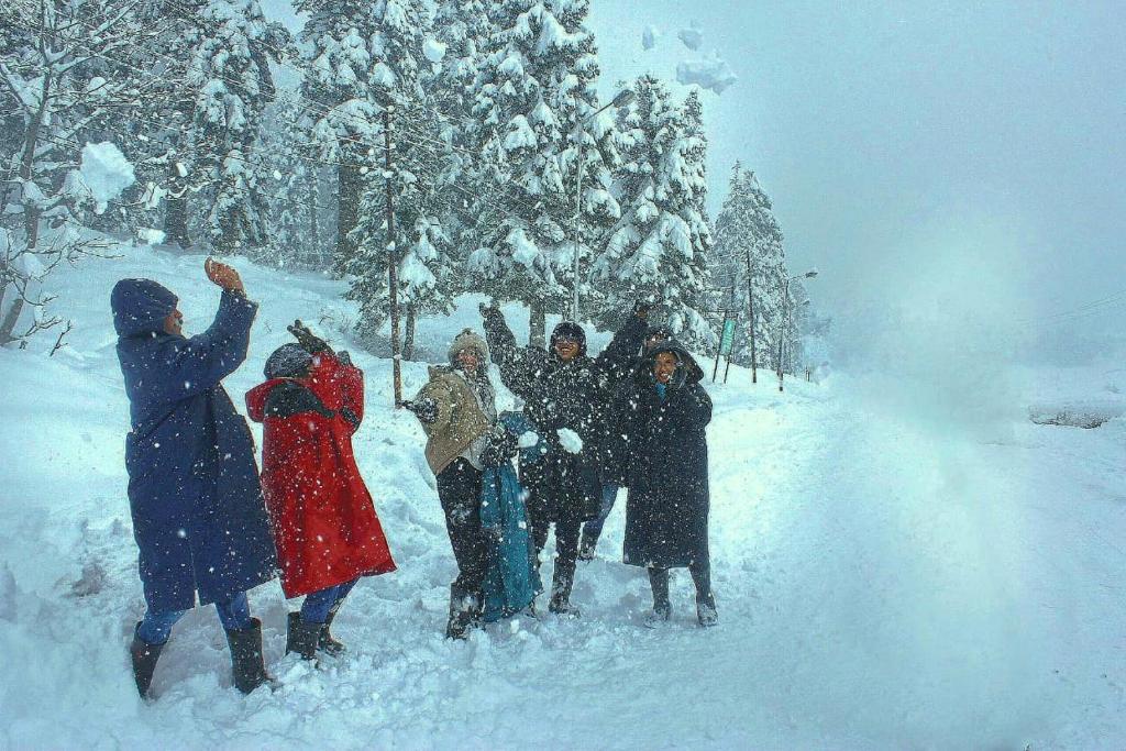 een groep mensen die in de sneeuw staan bij Luminaire Homestay in Srinagar