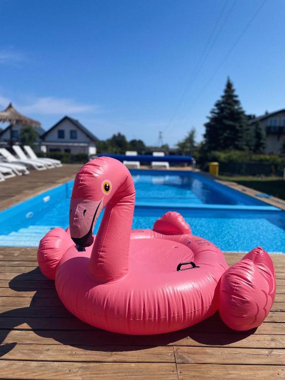 Piscina di Ostrovia - pokoje nad morzem o nelle vicinanze
