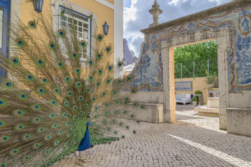 une sculpture en plumes de paons sur le côté d'un bâtiment dans l'établissement Solar do Castelo - Lisbon Heritage Collection - Alfama, à Lisbonne