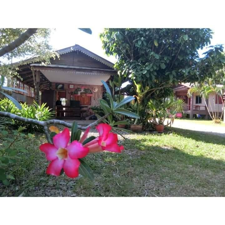 a pink flower sitting on the grass in front of a house at Pernjai Homestay บ้านคำข้อน in Ban Lao