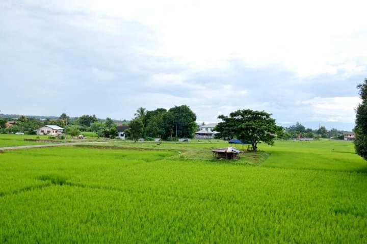 ein großes grünes Feld mit einem kleinen Gebäude darin in der Unterkunft Pernjai Homestay บ้านคำข้อน in Ban Lao