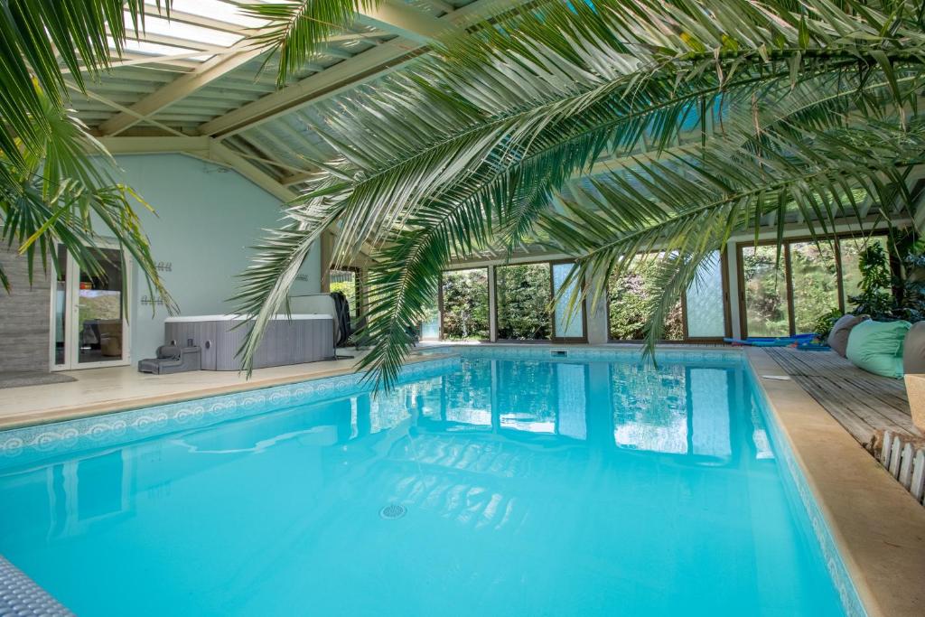 uma grande piscina com uma palmeira por cima em Gîte Piscine et Jacuzzi intérieurs em Cherveix-Cubas