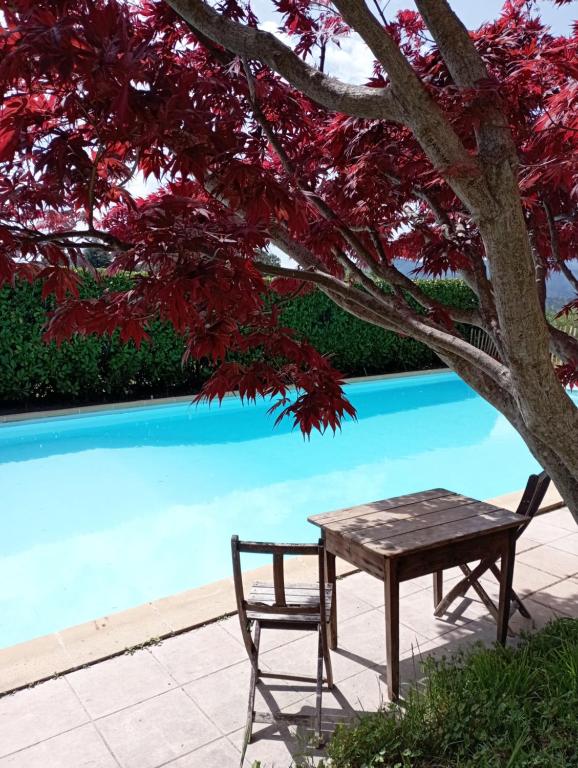 a table and a chair under a tree next to a pool at Chambre d'Hôte dans MAS proche Anduze Cévennes avec piscine in Mialet