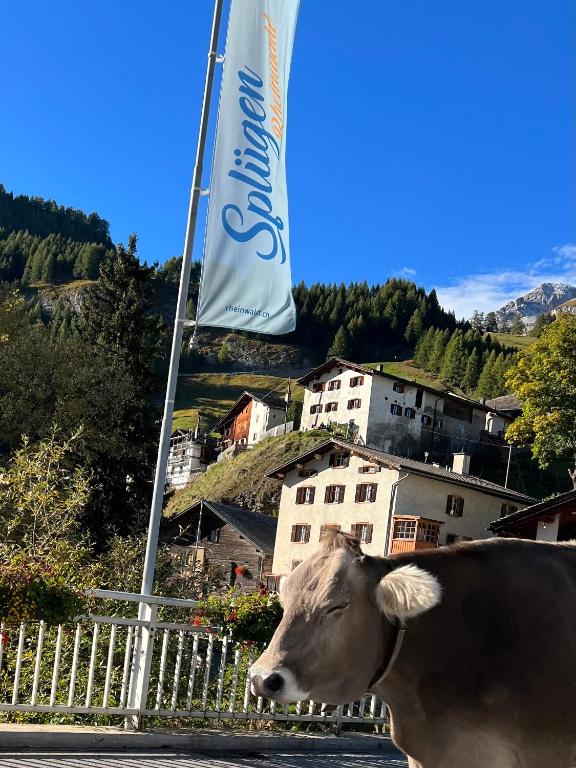 Fotografie z fotogalerie ubytování Hotel Piz Tambo v destinaci Splügen