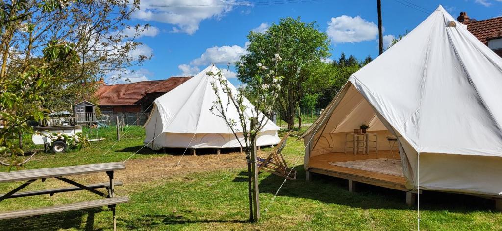 a couple of tents in a field with a bench at Petit a Petit - gypsy wagons and Bell tents in the Bourgogne in Saisy