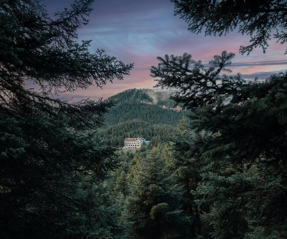 una casa en la cima de una montaña con árboles en MANNA, en Valtesiniko