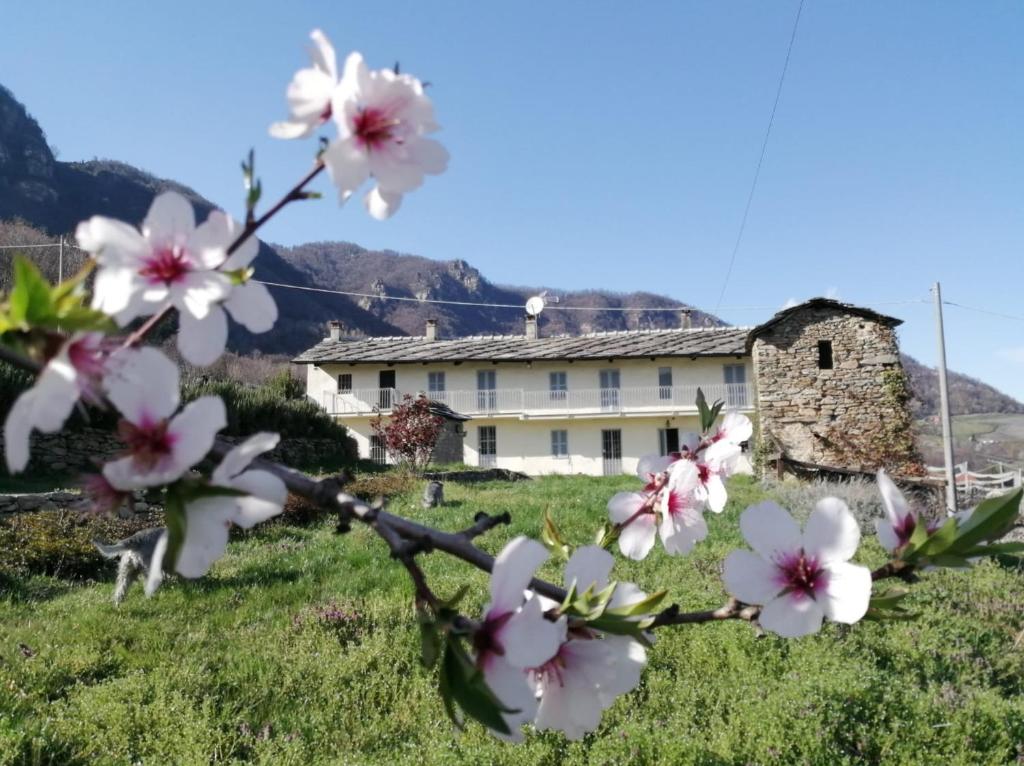 Nespecifikovaný výhled na hory nebo výhled na hory při pohledu z bed and breakfast