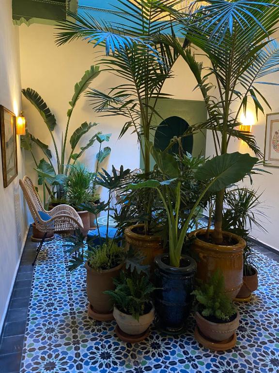 a room with a bunch of potted plants on a floor at Le Palazzo in Essaouira