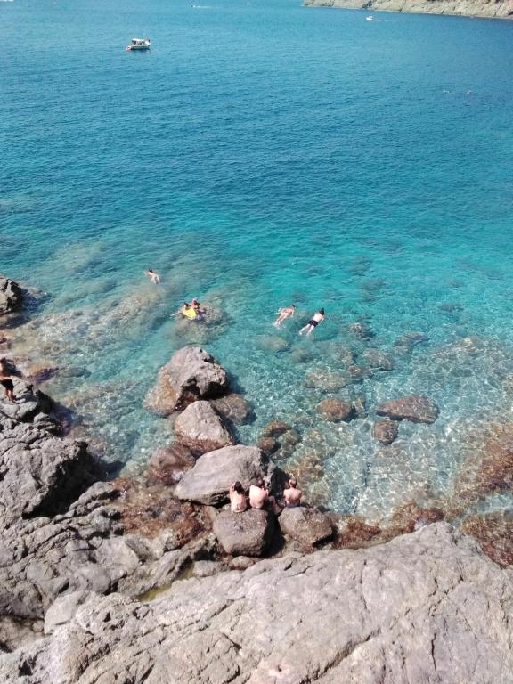 een groep mensen die in het water zwemmen bij VILLA MIMOSA Splendida Vista Mare in Bonassola