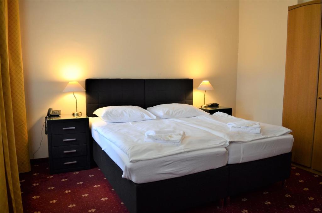 Hotel Palacky - Resim 16