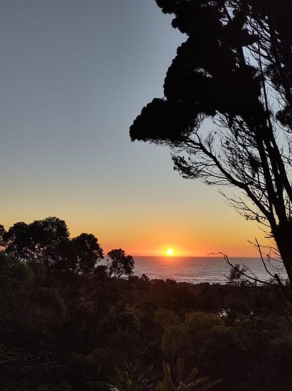 a sunset over the ocean with a tree in the foreground at Coração da Terra Praia do Rosa in Praia do Rosa