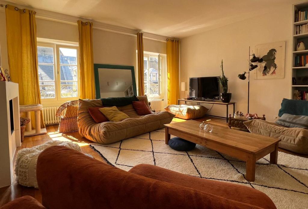 a living room with two couches and a coffee table at Appartement Versailles 5 mn à pied château et gare Versailles Rive Gauche Château in Versailles