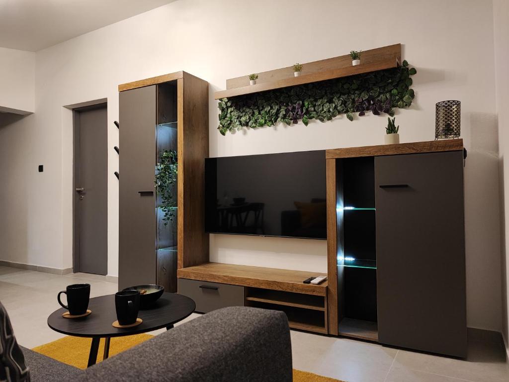 a living room with a couch and a tv at Apartment Boras in Vir