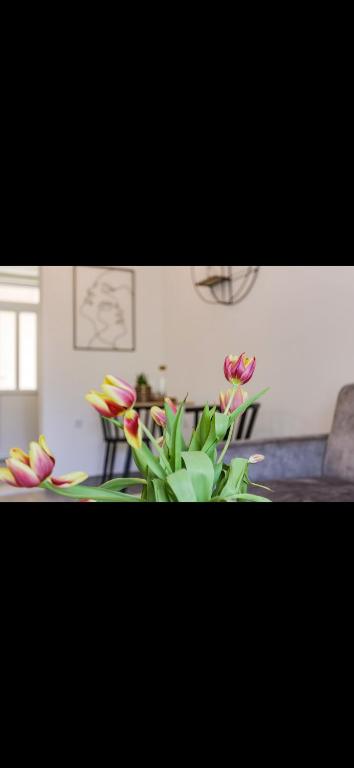 Zahrada ubytování Studio Apartman Sapore Di Mare