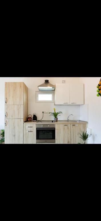 Kuchyň nebo kuchyňský kout v ubytování Studio Apartman Sapore Di Mare