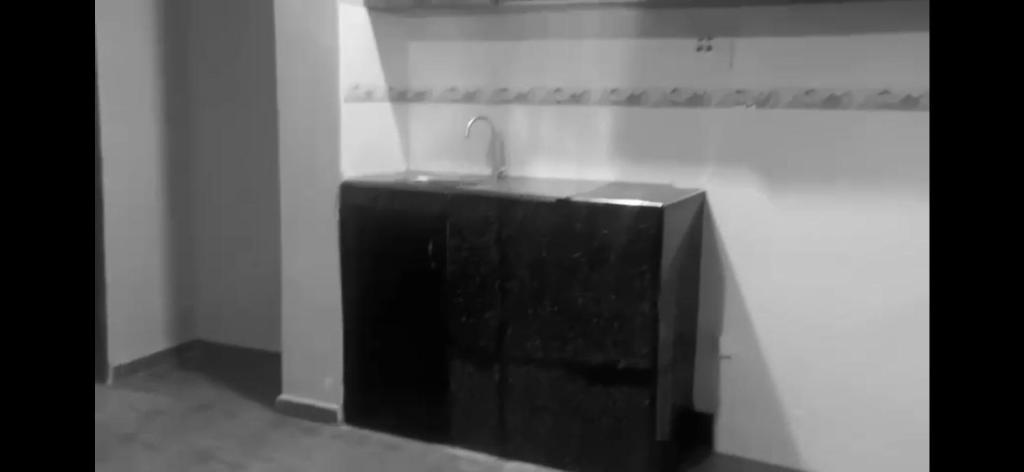 Mbarara的住宿－Jay Apartments，带水槽的浴室的黑白照片