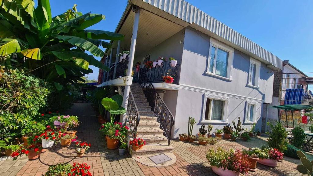 ein Haus mit Topfpflanzen nebeneinander in der Unterkunft Ios Guest House 2 in Kobuleti