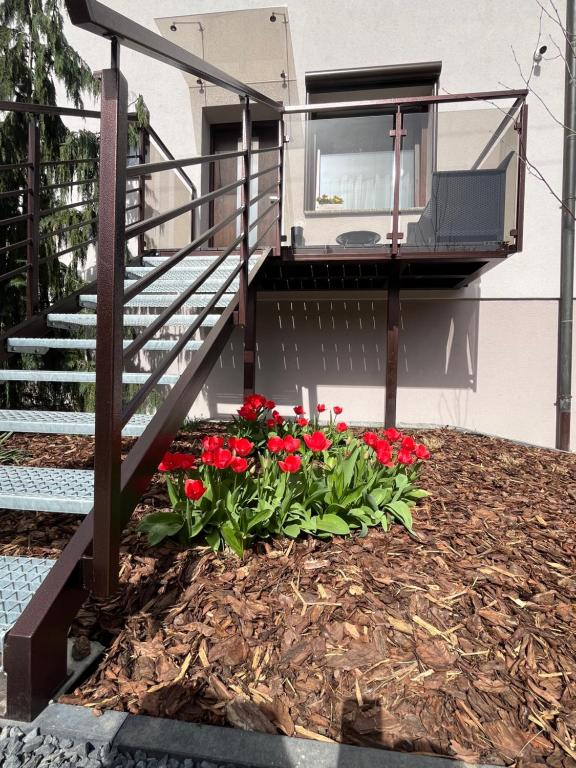 Zahrada ubytování Noclegi u Alicji- Apartamenty