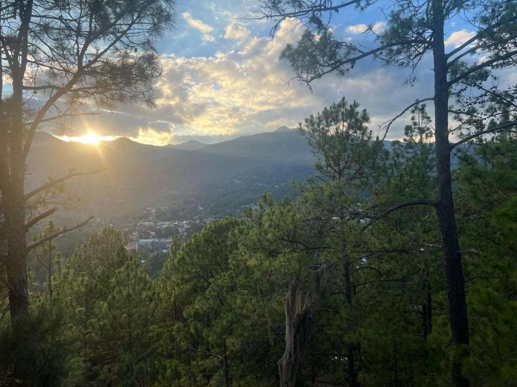 Imagen de la galería de Mirador Hotel Aoki, en Valle de Ángeles