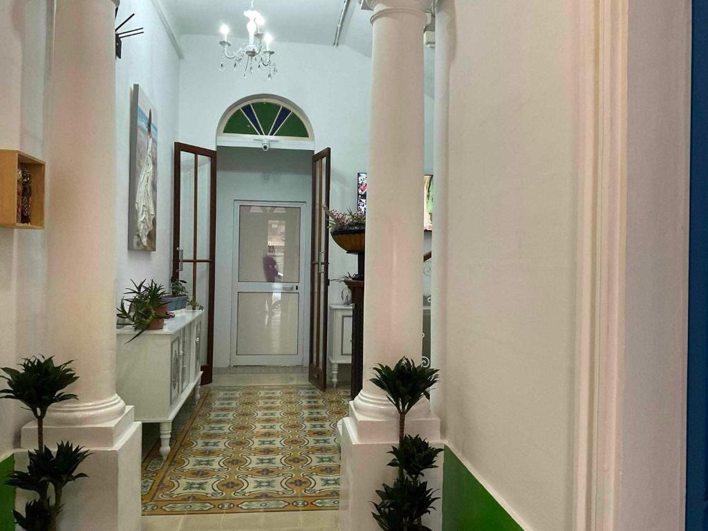 un couloir avec des plantes en pot dans un bâtiment dans l'établissement TRADITIONAL MALTESE STUDIO GZIRA, à Il-Gżira