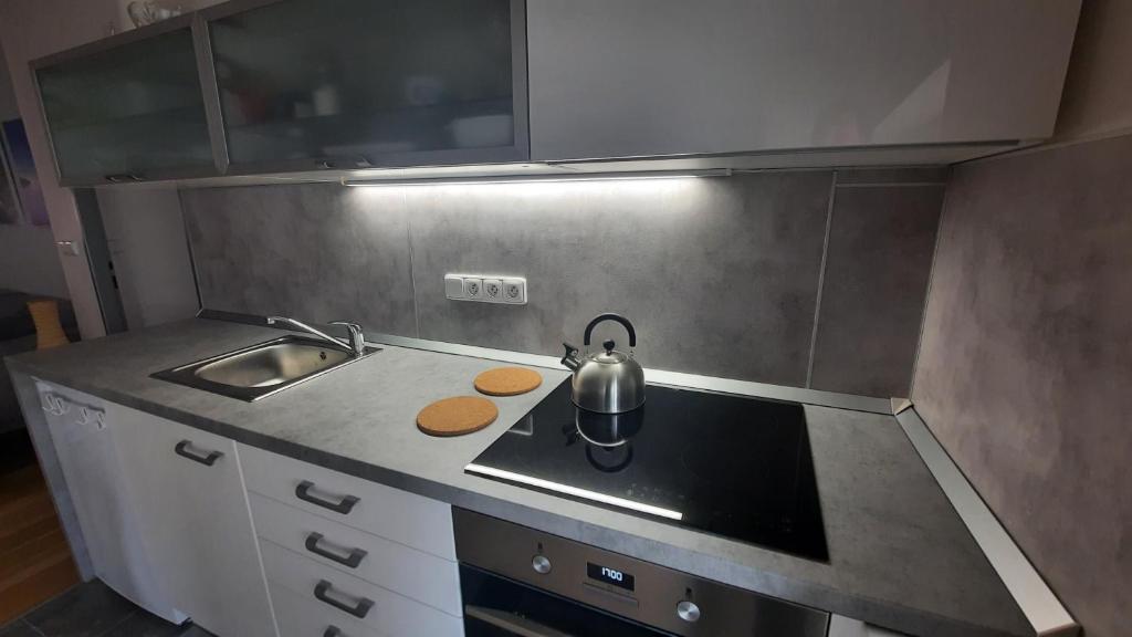 Kuchyň nebo kuchyňský kout v ubytování Apartmán Franz Josef