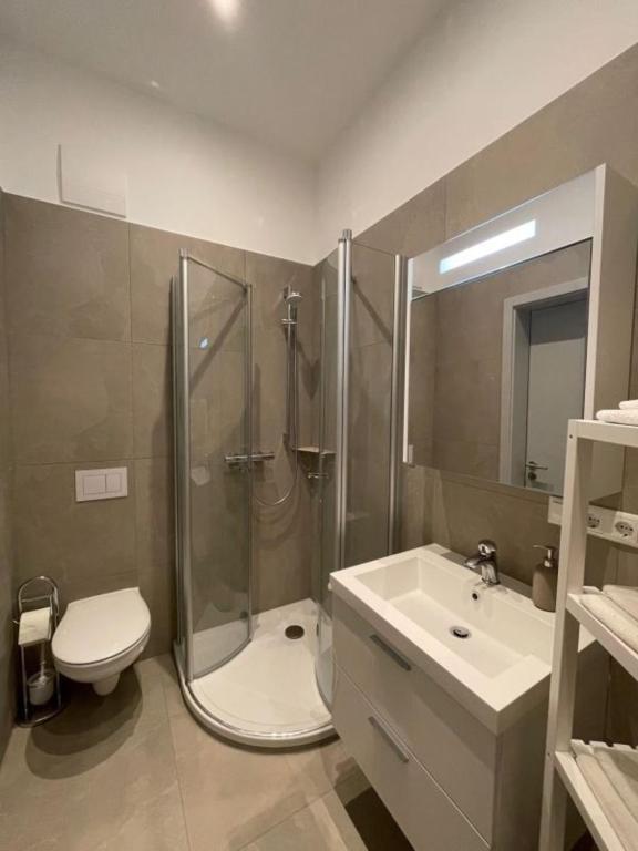 a bathroom with a shower and a toilet and a sink at 8 Ferienwohnung - Ferien Mittendrin in Schwerin