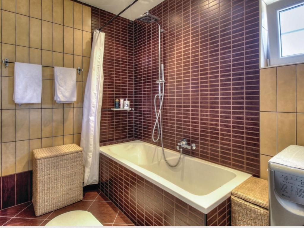 a bathroom with a bath tub and a shower at Villa Palma in Linz
