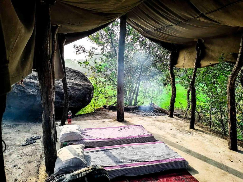 two beds sitting inside of a tent in the woods at Habarana Jungle Camping by Travel Squad in Habarana
