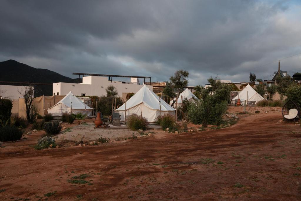 Příroda nedaleko luxury tent